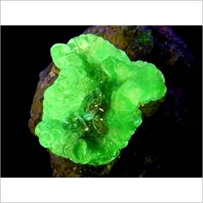 Malacine Astrology Stones