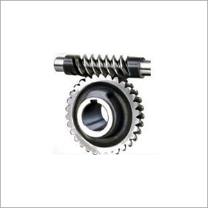 Worm Gear