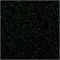 Premium Black Granite Slab