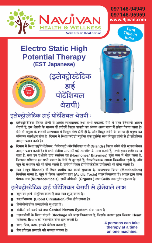 Electrostatic High Potential Therapy Device