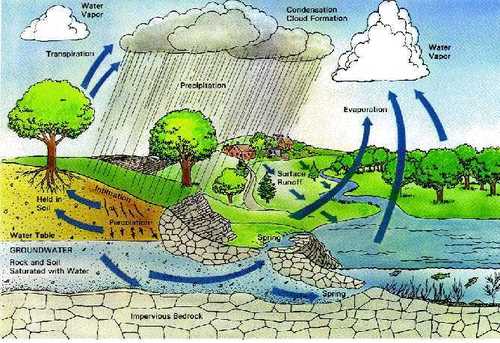 Rainwater Harvesting System