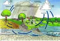 Rainwater Harvesting System