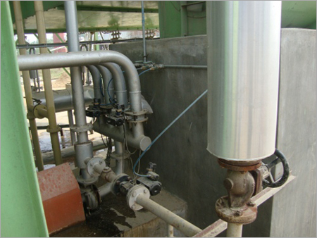 Paddy Boil Plants