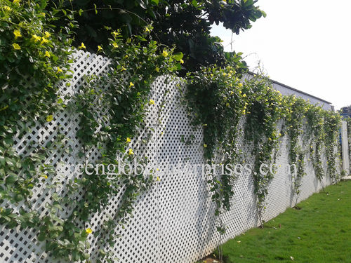 plastic privacy lattice panels