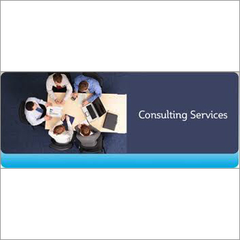 Software Consulting Services