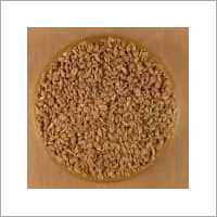 Natural Ajwain