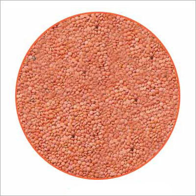 Malka Masoor Red Dal