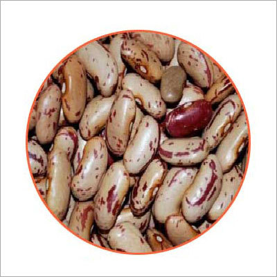 Rajma Chitra