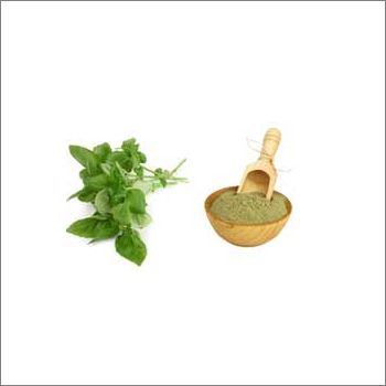 Basil Powder