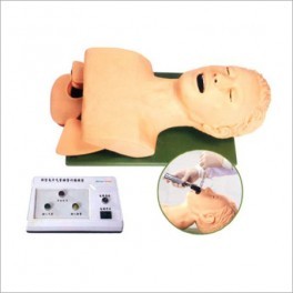 Life Support Training Models 