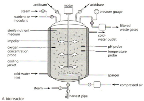 Fermentation Design Technology Fermentation Design Technology