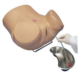 FEMALE CATHETERIZATION TRAINING SIMULATOR