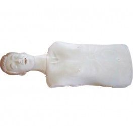 HALF BODY CPR TRAINING MODEL (MALE)