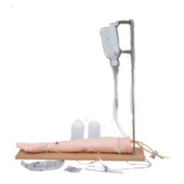 INJECTABLE ARM MODEL