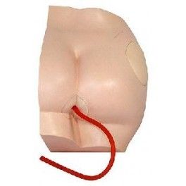 Plastic Buttock Injection Model