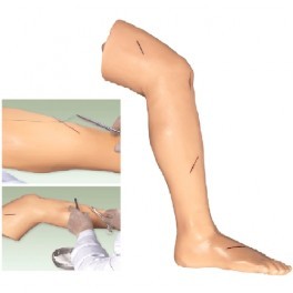 Skin Advanced Surigical Suture Leg