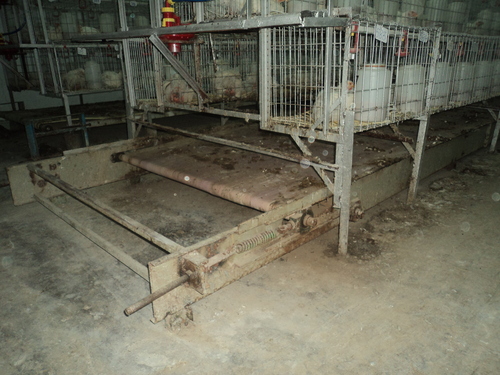 Manure Cleaning Conveyor