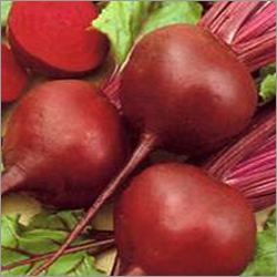 Beet Root