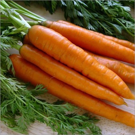 Fresh Red Carrot