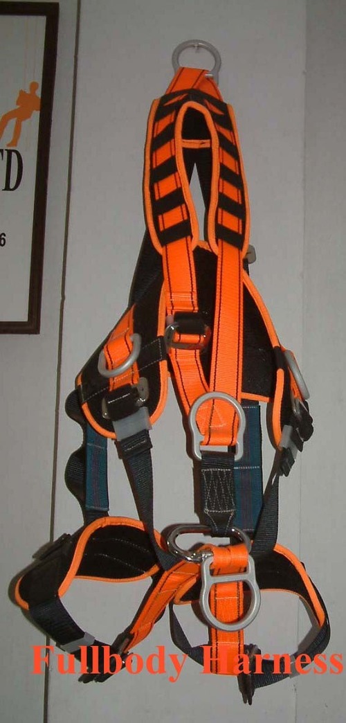 Safety Belts