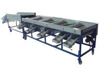 Garlic Bulb Grading Machine