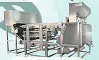 Garlic Sorting Machine - Stainless Steel, 5x5x10 Ft, Green Color | Automatic, Plc Control, Low Noise, Eco-friendly, 500-1000 Kg/hr Capacity
