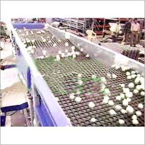 Raw Garlic Sorter Machine Raw Garlic Sorter Machine