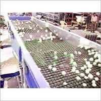 Raw Garlic Sorter Machine - Stainless Steel, 5x4x10 Ft, 3 Phase Power, 500-1000 Kg/hr Capacity | Rugged Design, Simple Installation, Noise-free Operation