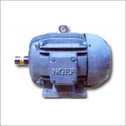Squirrel Cage Motor