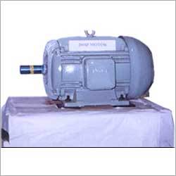 Standard Motor