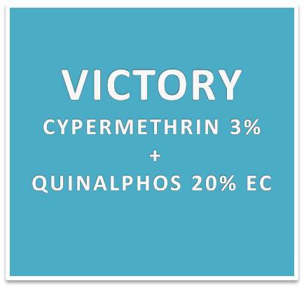 CYPERMETHRIN 3% + QUINALPHOS 20% EC