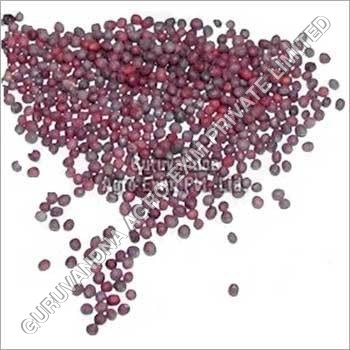 Brown Mustard Seeds