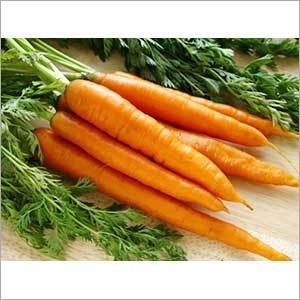 Fresh Red Carrot