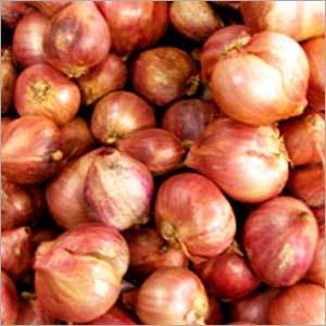 Fresh Red Onions