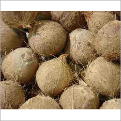 Coconut Shell Products