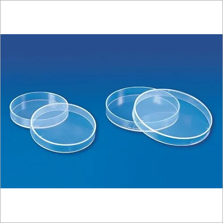 Glass Petri Dish Glass Petri Dish