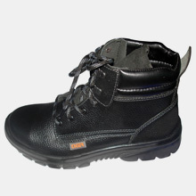 TIGLON 3600