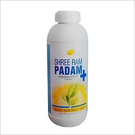 SHREE RAM PADAM PLUS