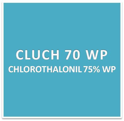CHLOROTHALONIL 75% WP