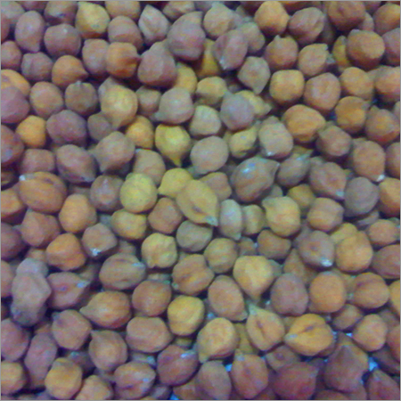 Bengal Gram