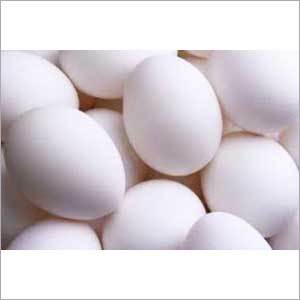 Fresh Chicken Eggs