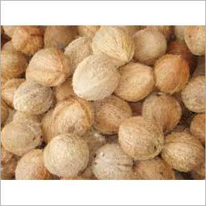 Dried Coconut