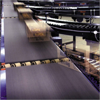 Industrial Conveyor
