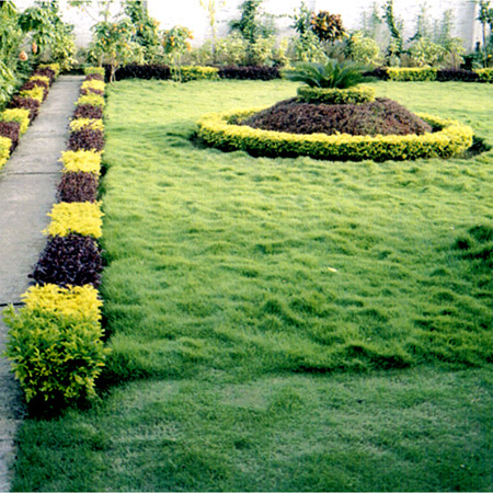 Landscape Development