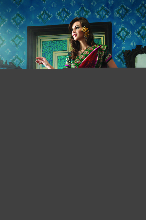 Embroidery Sarees