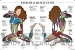 Exercise And Muscle Guide Anatomical Poster - Female