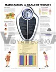 Maintaining A Healthy Weight Anatomical Chart