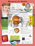 Blueprint For Health Your Eyes Anatomical Chart - Paper