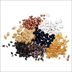 Seeds