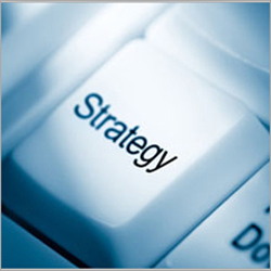 Legal Strategy Advisory
